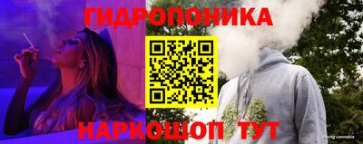 мдпв Ставрополь
