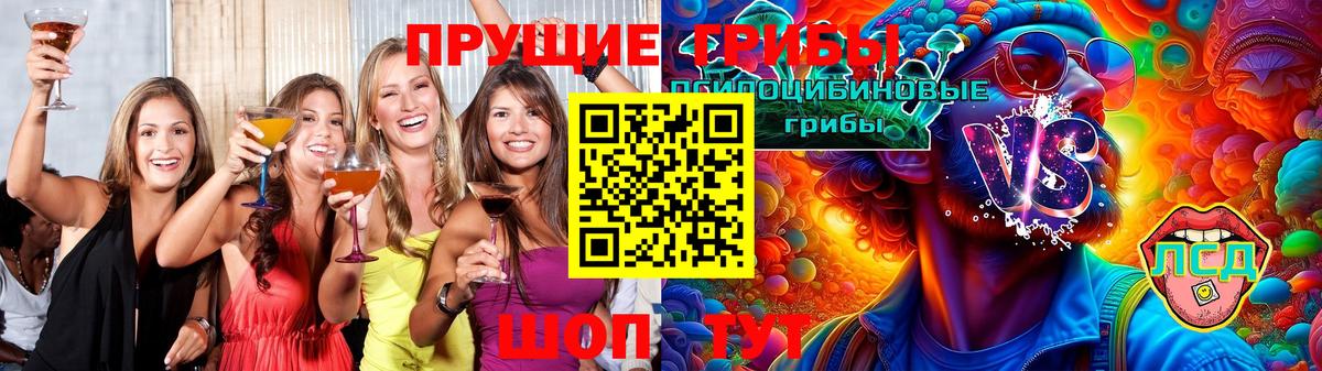Псилоцибиновые грибы Psilocybine cubensis  Вход с VPN  Похвистнево 